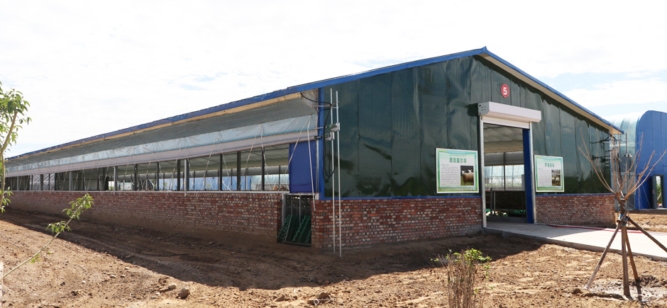 準(zhǔn)旗羊場網(wǎng)站6圖940.jpg 準(zhǔn)旗羊場網(wǎng)站6圖940.jpg