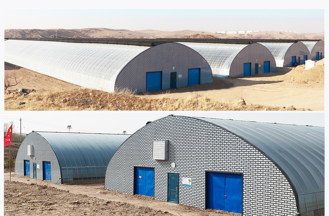 石拐區(qū)現(xiàn)代智慧設(shè)施農(nóng)業(yè)產(chǎn)業(yè)園_06.jpg 石拐區(qū)現(xiàn)代智慧設(shè)施農(nóng)業(yè)產(chǎn)業(yè)園_06.jpg