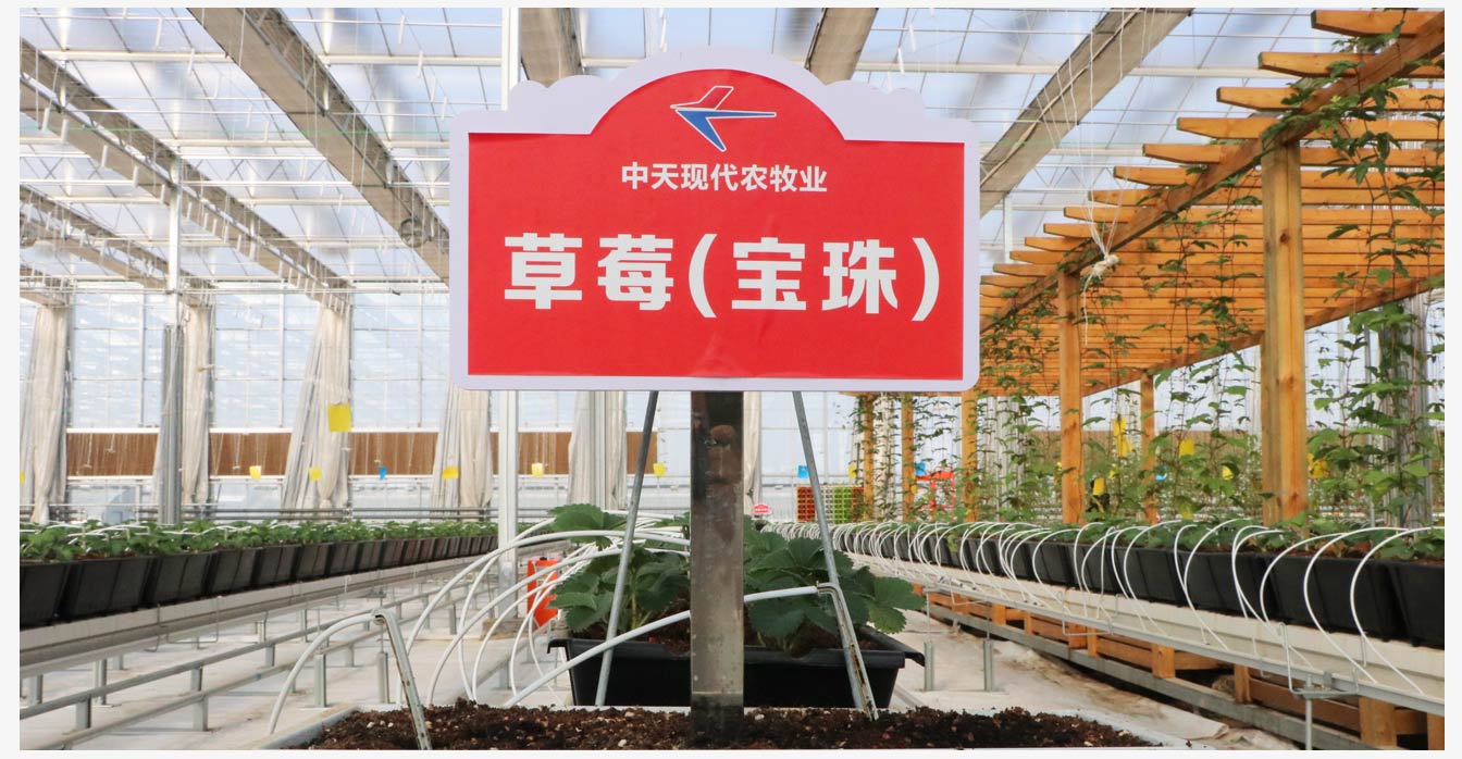 準格爾旗現(xiàn)代智慧設(shè)施農(nóng)業(yè)產(chǎn)業(yè)園_20.jpg 準格爾旗現(xiàn)代智慧設(shè)施農(nóng)業(yè)產(chǎn)業(yè)園_20.jpg