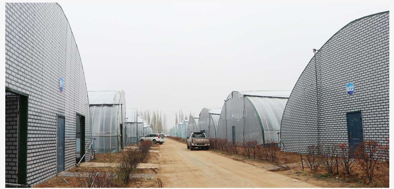 準格爾旗現(xiàn)代智慧設(shè)施農(nóng)業(yè)產(chǎn)業(yè)園(網(wǎng)頁)_22.jpg 準格爾旗現(xiàn)代智慧設(shè)施農(nóng)業(yè)產(chǎn)業(yè)園(網(wǎng)頁)_22.jpg