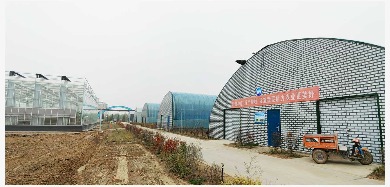 準格爾旗現(xiàn)代智慧設(shè)施農(nóng)業(yè)產(chǎn)業(yè)園(網(wǎng)頁)_28.jpg 準格爾旗現(xiàn)代智慧設(shè)施農(nóng)業(yè)產(chǎn)業(yè)園(網(wǎng)頁)_28.jpg