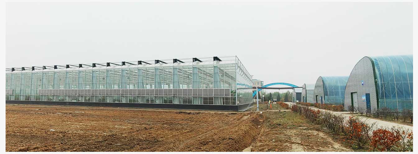 準格爾旗現(xiàn)代智慧設(shè)施農(nóng)業(yè)產(chǎn)業(yè)園(網(wǎng)頁)_29.jpg 準格爾旗現(xiàn)代智慧設(shè)施農(nóng)業(yè)產(chǎn)業(yè)園(網(wǎng)頁)_29.jpg