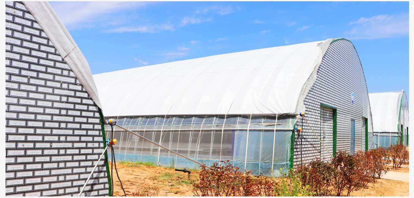 準格爾旗現(xiàn)代智慧設(shè)施農(nóng)業(yè)產(chǎn)業(yè)園(網(wǎng)頁)_26.jpg 準格爾旗現(xiàn)代智慧設(shè)施農(nóng)業(yè)產(chǎn)業(yè)園(網(wǎng)頁)_26.jpg