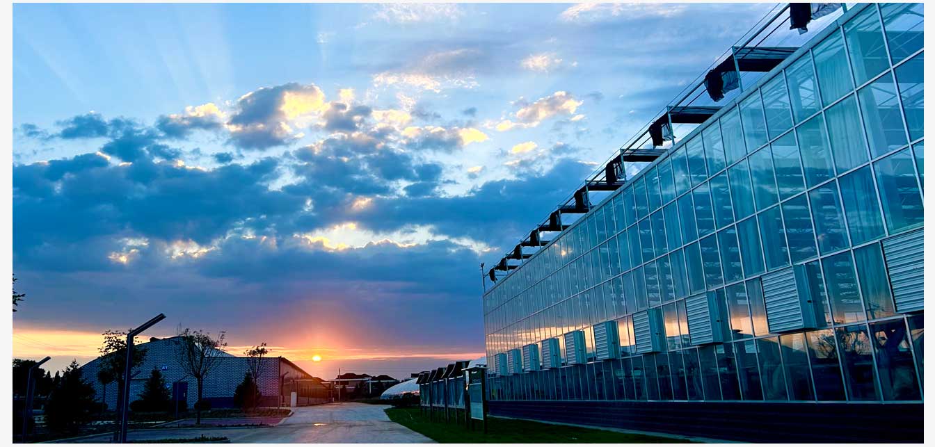 準格爾旗現(xiàn)代智慧設(shè)施農(nóng)業(yè)產(chǎn)業(yè)園(網(wǎng)頁)_23.jpg 準格爾旗現(xiàn)代智慧設(shè)施農(nóng)業(yè)產(chǎn)業(yè)園(網(wǎng)頁)_23.jpg