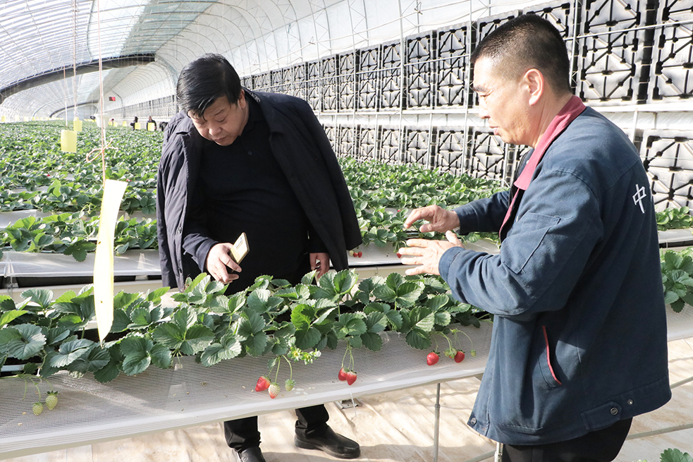 2024年會938圖日光溫室切2.jpg 2024年會938圖日光溫室切2.jpg