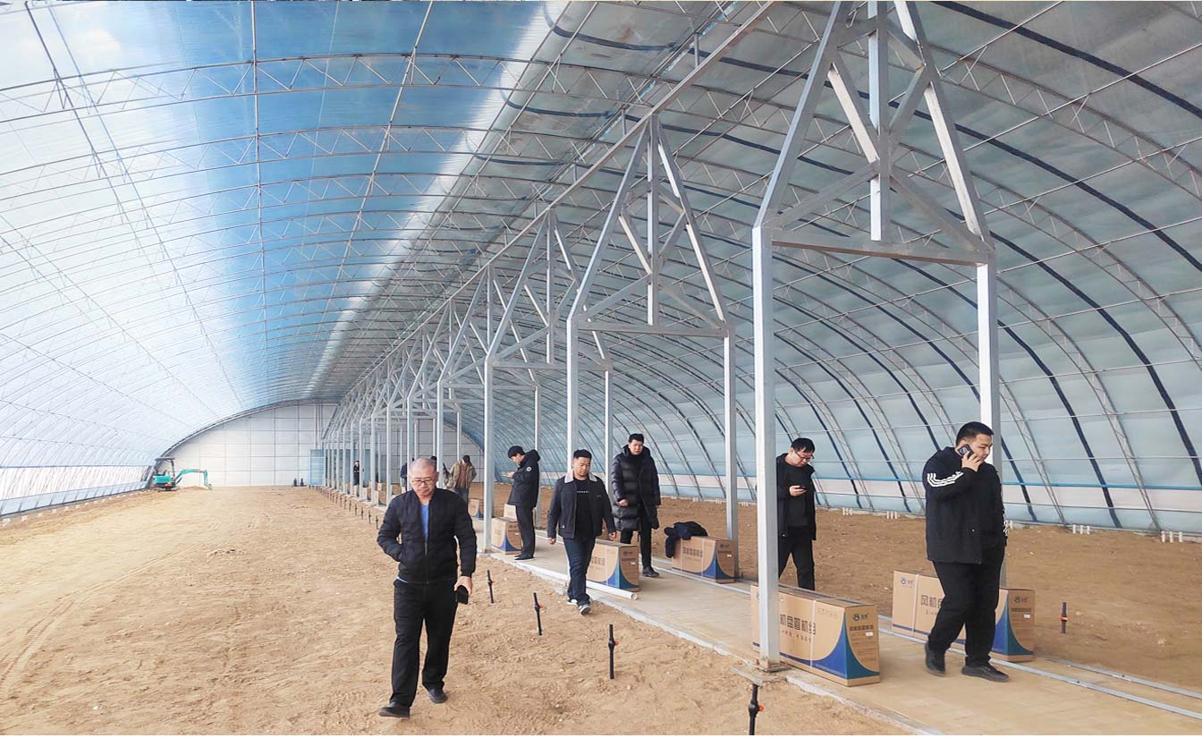 大路鎮(zhèn)苗家灘社區(qū)項(xiàng)目-智能溫室、日光溫室建設(shè)項(xiàng)目_09.jpg 大路鎮(zhèn)苗家灘社區(qū)項(xiàng)目-智能溫室、日光溫室建設(shè)項(xiàng)目_09.jpg