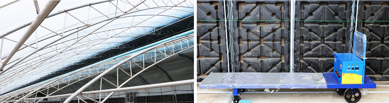 大路鎮(zhèn)苗家灘社區(qū)項(xiàng)目-智能溫室、日光溫室建設(shè)項(xiàng)目_11.jpg 大路鎮(zhèn)苗家灘社區(qū)項(xiàng)目-智能溫室、日光溫室建設(shè)項(xiàng)目_11.jpg