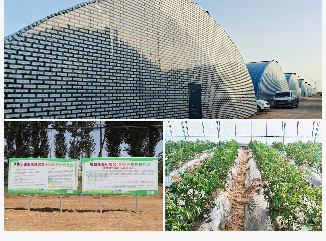 準(zhǔn)格爾旗現(xiàn)代設(shè)施農(nóng)業(yè)科技轉(zhuǎn)化示范園_10.jpg 準(zhǔn)格爾旗現(xiàn)代設(shè)施農(nóng)業(yè)科技轉(zhuǎn)化示范園_10.jpg
