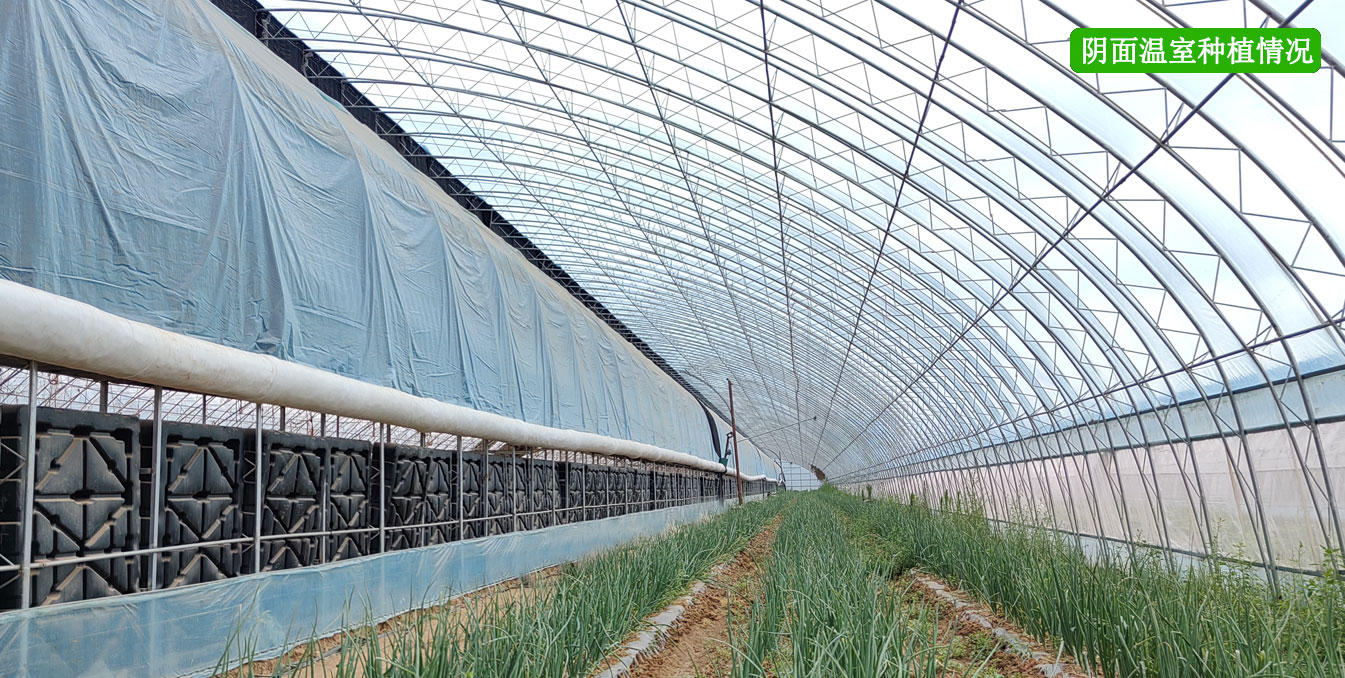2、四季溫室網(wǎng)頁(yè)_13.jpg 2、四季溫室網(wǎng)頁(yè)_13.jpg
